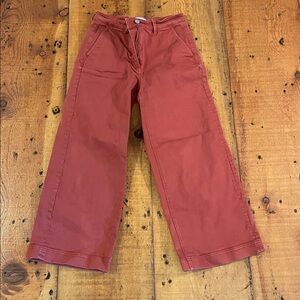 Everlane Wide Leg Cotton Pants in Rust Red